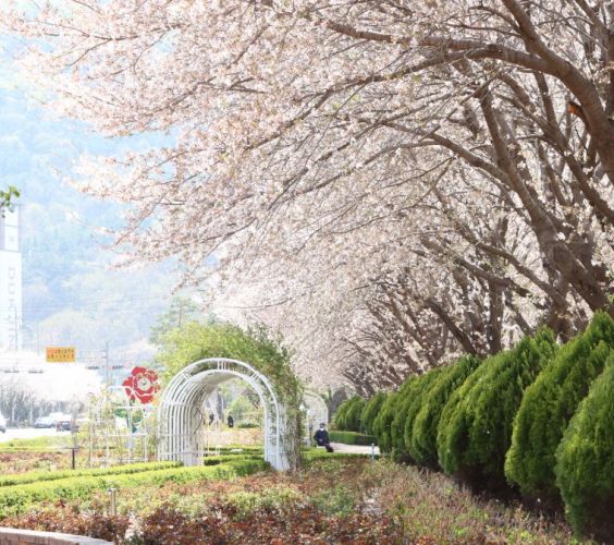 찰보리빵